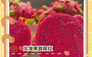 怀孕期间能不能吃火龙果