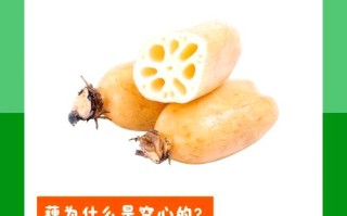 孕期贫血可以吃莲藕吗