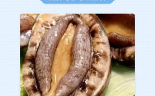 鲍鱼怀孕期间到底能不能吃？对胎儿有影响吗？