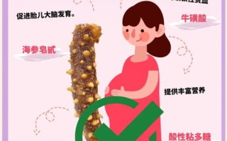 孕期吃海参真的能让宝宝更聪明健康吗？营养补充还是过度进补？