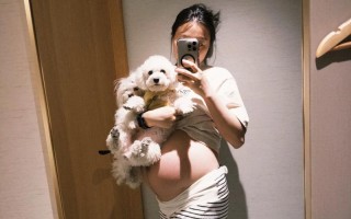 孕期吃完饭肚子特别大