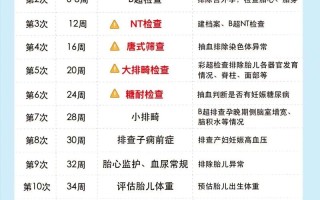 怀孕期间需要做多少次检查？不同孕周的关键检查项目有哪些？