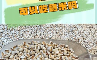 备孕期间吃薏仁会影响受孕吗？有没有科学依据？