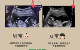 新生儿真的能分辨出母亲吗？他们靠什么认出妈妈？