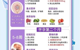 孕期孕妇需要补充哪些关键营养素，又该如何科学搭配饮食呢？