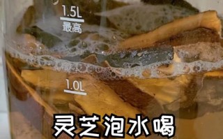 孕期喝灵芝泡水安全吗？对胎儿发育有影响吗？
