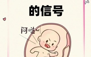 孕期容易饿饿就代表怀的是男孩吗？这种说法有科学依据吗？
