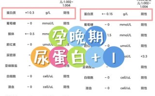 孕期出现尿蛋白，是肾脏出问题了吗？对胎儿有影响吗？