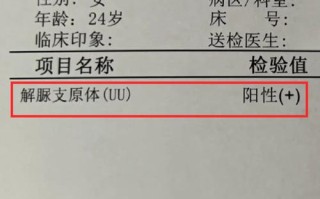 孕期查出支原体阳性，对胎儿影响大吗？需要立即治疗吗？