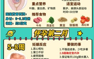 备孕到哺乳期营养需求大不同，不同阶段到底该重点补充什么才科学？