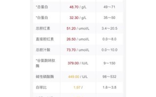 新生儿总胆红素350