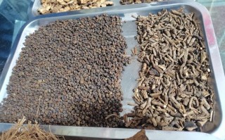 儿童抗病毒中药有哪些？安全有效的具体药物及使用指南是什么？