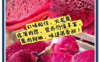 孕期红心火龙果能吃吗？