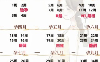 孕期拍照软件显示周期是生理周期还是孕周？数据准确性如何保障？