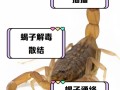 儿童吃蝎子有什么好处