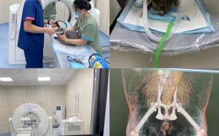 男生备孕期间做了CT，会影响精子质量及未来宝宝健康吗？