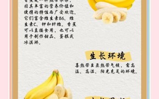 孕期吃香蕉对胎儿发育到底有哪些影响？这些影响是利是弊？