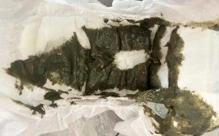 新生儿吃完奶粉就拉屎是消化不良还是生理性腹泻？