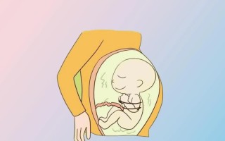 孕期总犯困、嗜睡，和怀的是男孩女孩有关系吗？科学依据是什么？