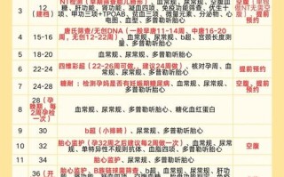 高龄产妇孕期检查时间