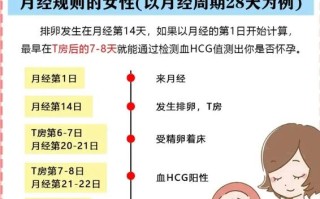 孕期从同房时间算还是末次月经算？两者差异该如何科学核对预产期？