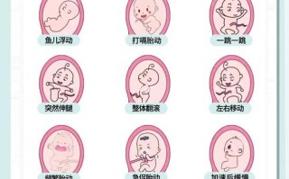 怀孕期间宝宝不怎么动，是缺氧还是正常现象？需要警惕吗？