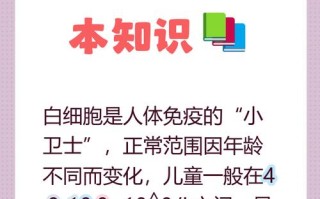 6岁儿童白细胞正常值