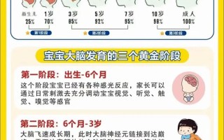 新生儿脑部发育完全需要多久？不同阶段关键期有何不同？