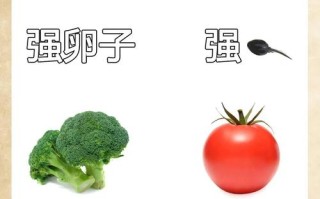 怀孕期间吃什么最好呢