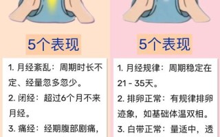 受孕期怀孕几率有多大？科学解读提高受孕概率的关键因素