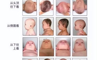 新生儿多久能稳稳竖抱抬头？头部发育关键期与竖抱注意事项有哪些？