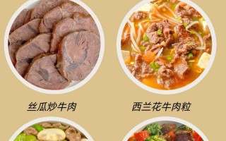 儿童牛肉的做法大全集