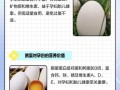 怀孕期间吃鹅蛋真能去胎毒吗？有哪些科学依据和注意事项？