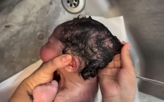 新生儿出生就会转头，是天生的本能还是后天习得的技能？