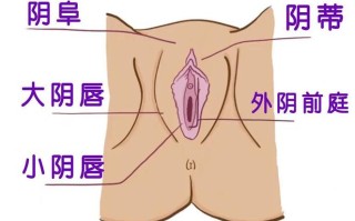 新生儿外阴很红是正常现象吗？需要怎么处理才不会感染？