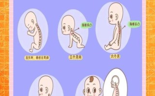 新生儿脊椎受伤后一定会哭吗？哭声异常是否暗示脊椎受损？