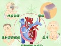儿童心脏病症状有哪些？家长需警惕哪些异常表现？