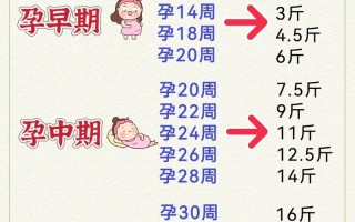 孕期体重增长最快在哪个阶段？