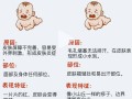 新生儿肚子摸着热是正常现象还是生病信号？需要警惕哪些问题？