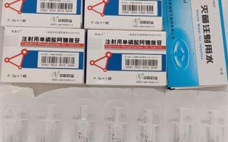 儿童用单磷酸阿糖腺苷安全吗？适用年龄与副作用有哪些注意事项？