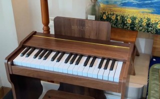 儿童初学钢琴，买电钢琴还是传统钢琴？选什么型号性价比最高？