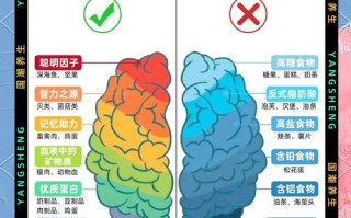 如何科学搭配饮食，促进儿童大脑发育关键期营养需求？