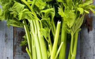 女人备孕期能吃芹菜吗