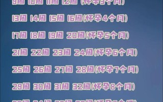 孕期计算器怀孕日历表，如何精准推算预产期并同步监测胎儿发育关键节点？