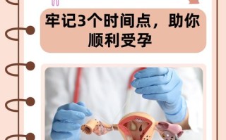 孕期女性如何科学解决生理需求？有哪些注意事项？