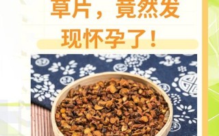 备孕期间吃中药到底安不安全？需要医生辨证指导吗？