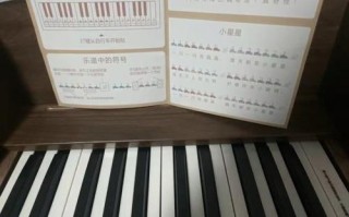 孩子学电子琴还是钢琴，哪个更适合？