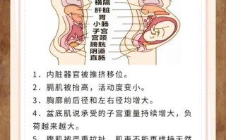 孕期全或无理论真的能解释所有早期妊娠结局吗？