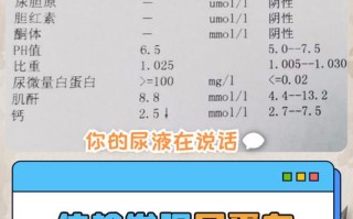 怀孕期间尿蛋白3个加，是肾脏出问题了吗？对胎儿有影响吗？