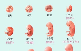 孕期总爱哭真能预示宝宝性别？科学依据还是民间误传？